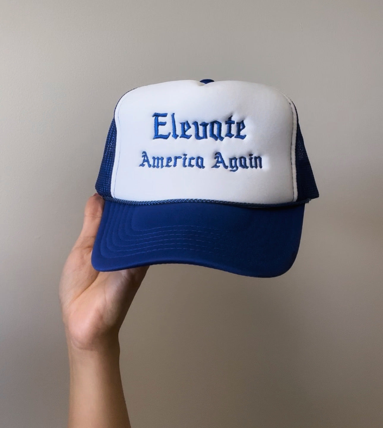 Elevate America Again