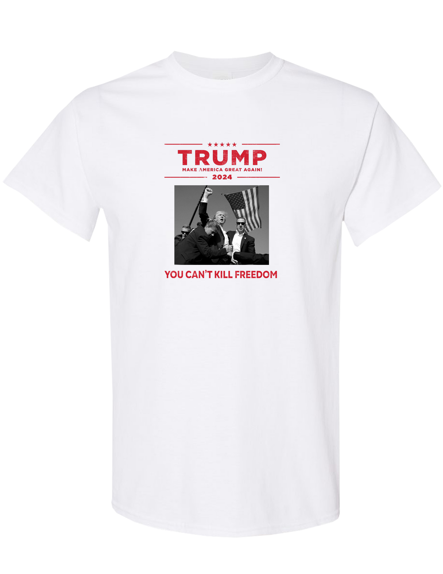 Cant Kill Freedom T-Shirt